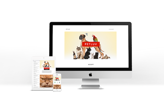 Imagen de ejemplo, osbre un perro y un ave