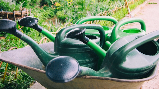 Imagen de regaderas de mano para plantas 